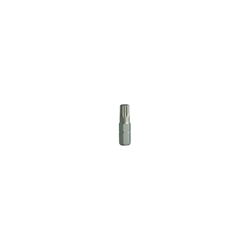 Finale Aktion PROJAHN 10 mm Bit L75 mm Vielzahn M14