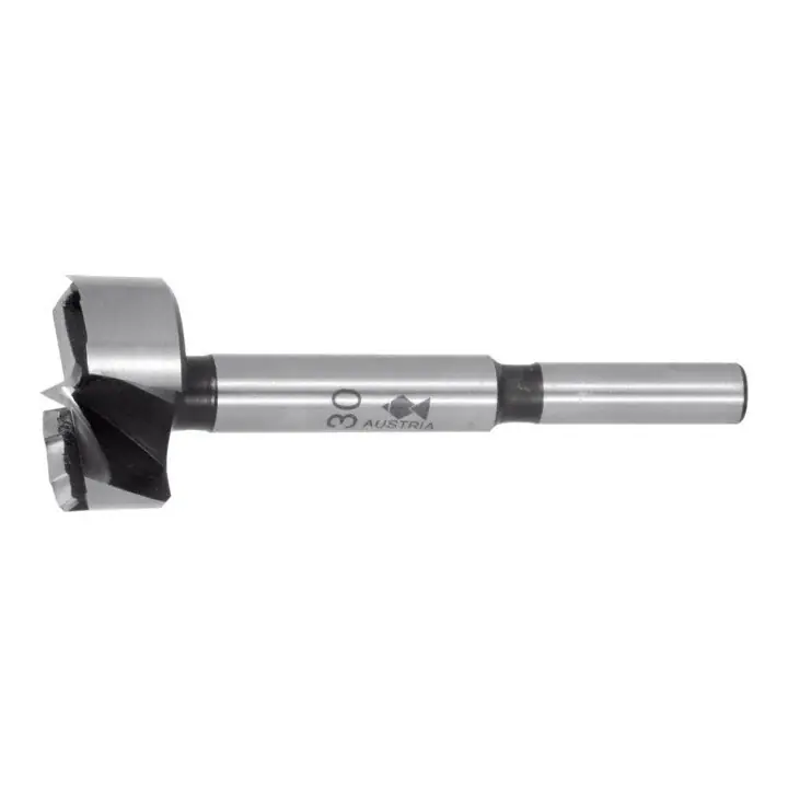 Rabatt FISCH-TOOLS Forstnerbohrer Type 0310 Ø 22 mm Gesamtlänge 90 mm ( 4000863451 )