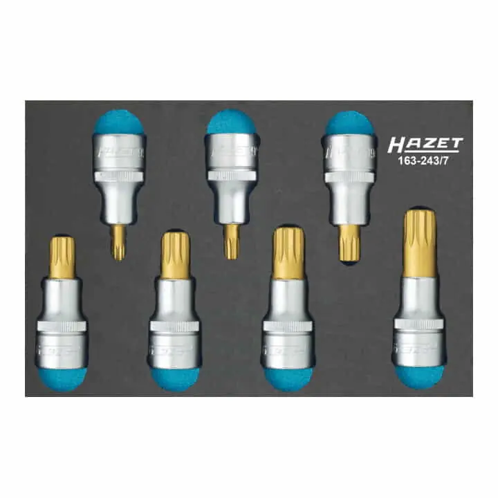 HAZET Werkzeugmodul 163-243/7 7-teilig ( 4000871194 ) Preis Gesenkt