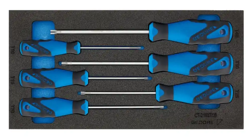 Solange Der Vorrat Reicht GEDORE Werkzeugmodul 1500 CT1-2163 TX 6-teilig 1/3-Modul ( 4000881217 )
