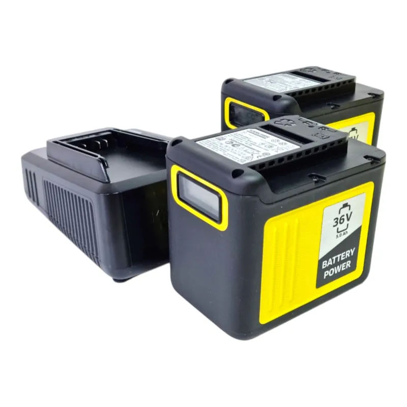 Kärcher Starter Kit Battery Power 2x 36/50 Ladegerät + 2x Akku 5,0 Ah Wochenendangebot