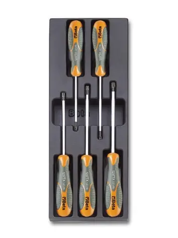 Termoformato SENZA Set Giraviti Torx Betamax Beta TV176 VUOTO Highlight