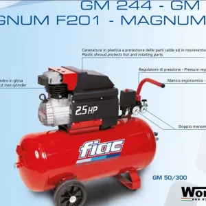 Compressore Fiac coassiale lubrificato Fiac GM 245 -302 Angebot