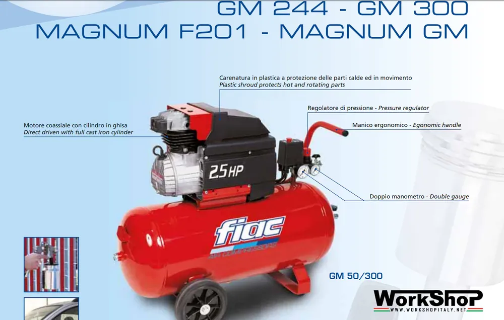 Compressore Fiac coassiale lubrificato Fiac GM 245 -302 Angebot